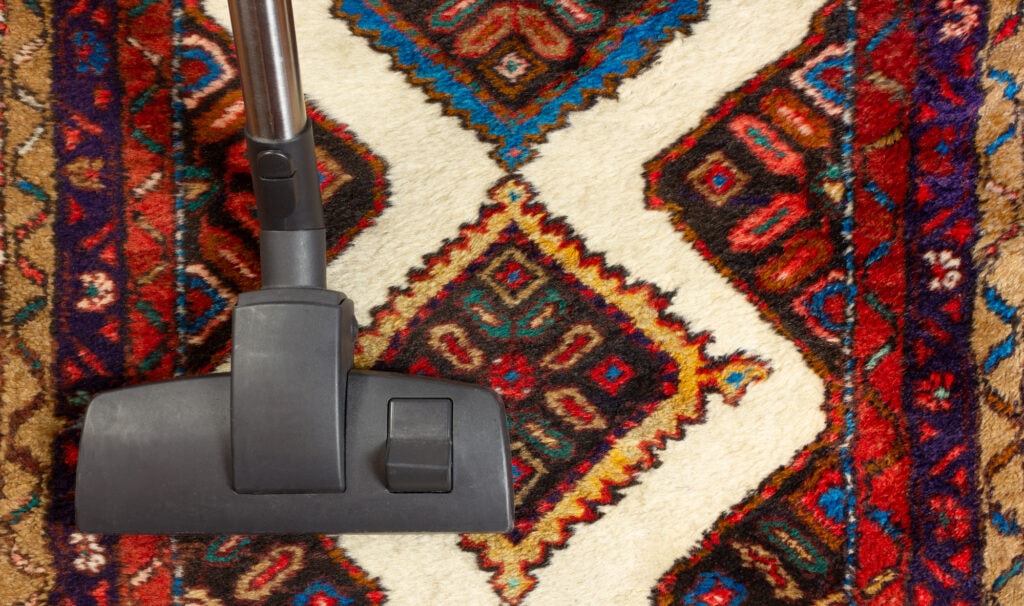 Will Professional Carpet Cleaning Remove All Pet Odors?