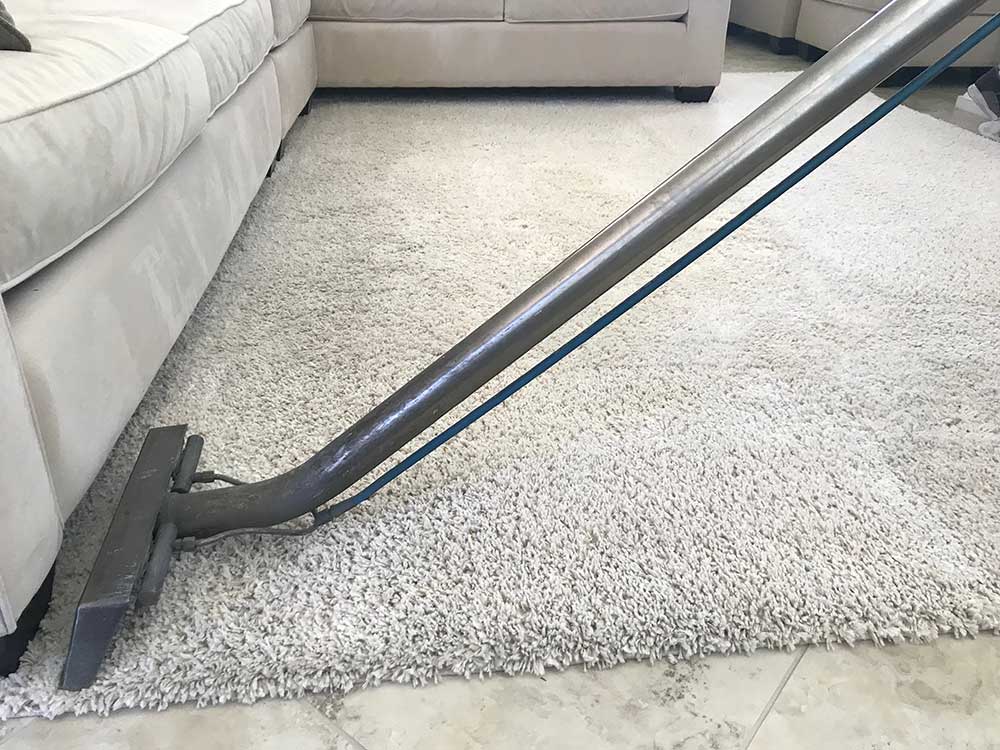 oriental area rug cleaning in everett wa