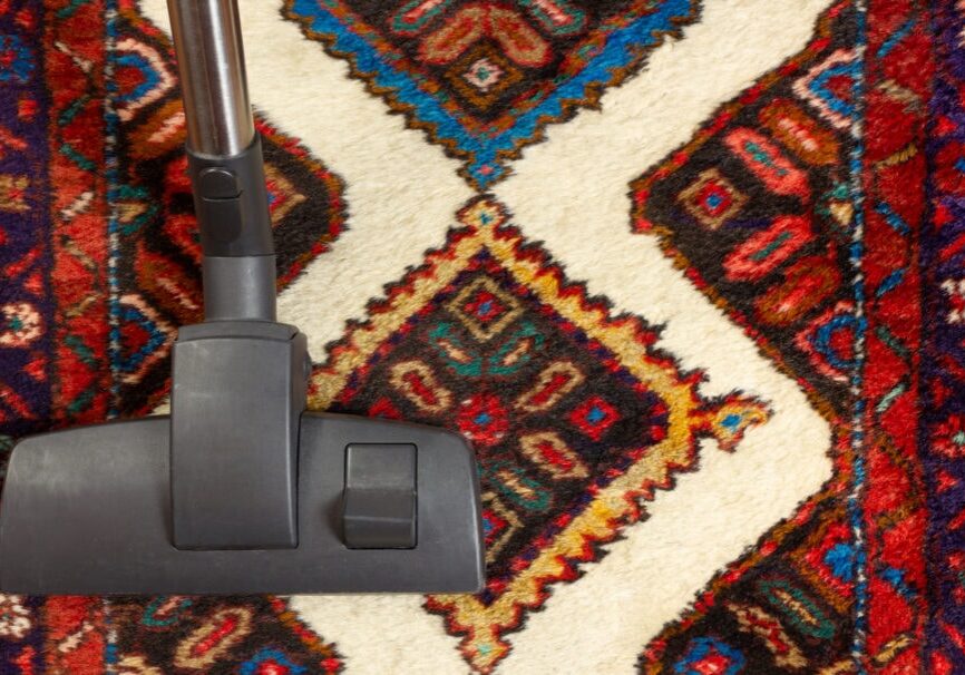 Will Professional Carpet Cleaning Remove All Pet Odors?